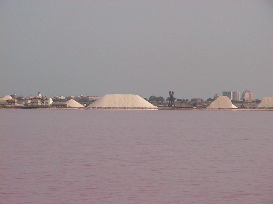 Salinas y Laguna Rosa de Torrevieja