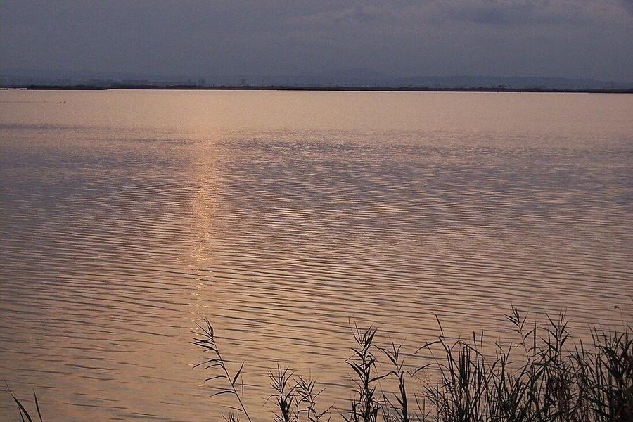 Lago de la Albufera, Valencia