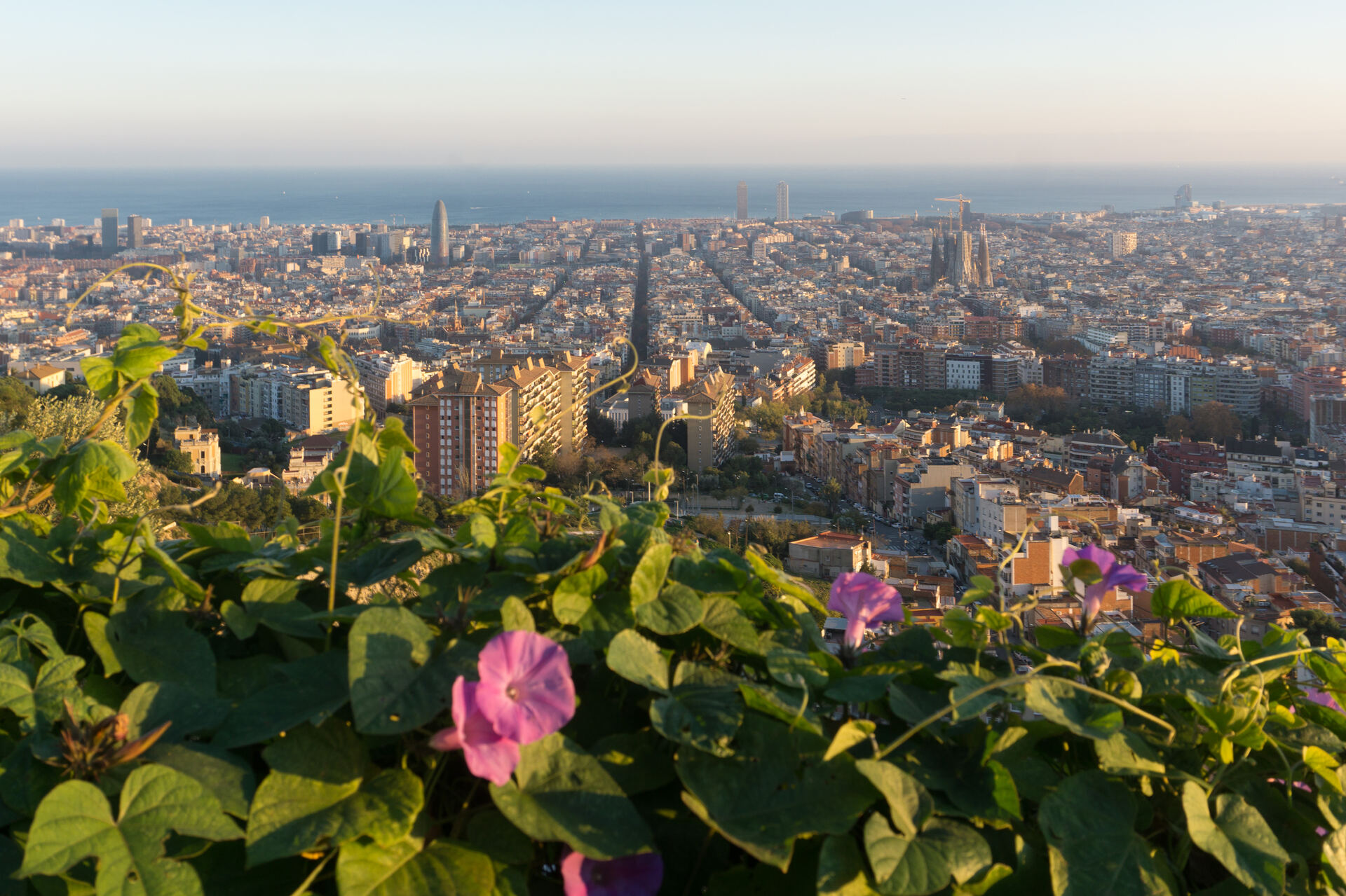Panorámica de Barcelona desde los Búnkers del Carmel
