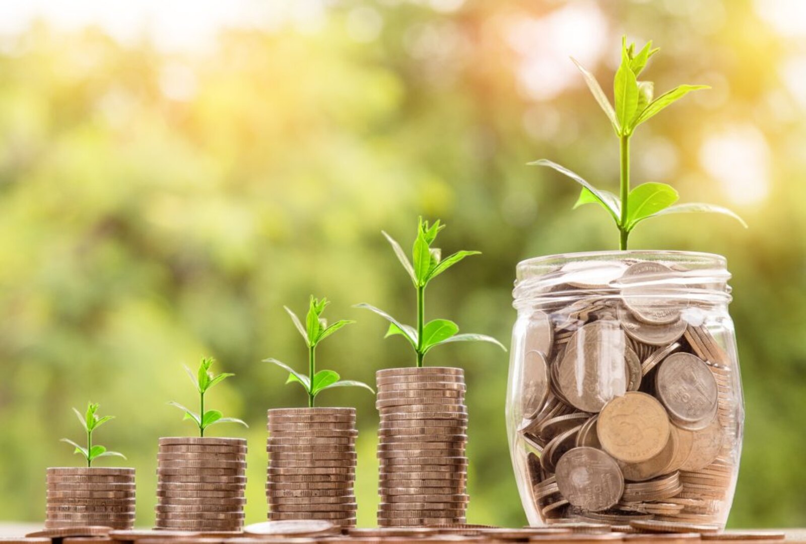 Crecimiento del ahorro (monedas y plantas)